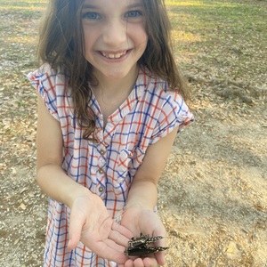 Stella